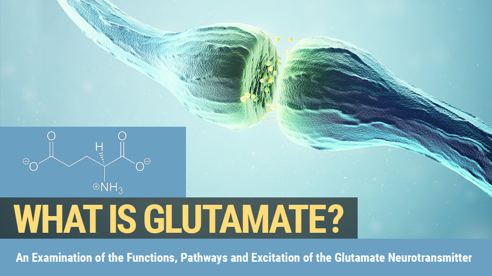 what-is-glutamate